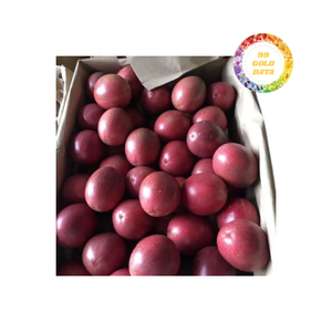 เสาวรสแช่แข็งทั้งหมดของเวียดนามที่มีขนาดสม่ำเสมอและผิวกระชับ-พร้อมสำหรับการผสมการปอกเปลือกหรือการแปรรูป - Product Image 3