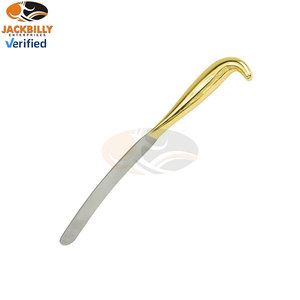 Spatule manuelle professionnelle de haute qualité personnalisée pour le sein, abaisse-langue chirurgical, conforme à la norme MOL, certifié CE, garantie 5 ans - Product Image 3