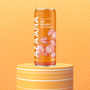 Kombucha พีชแอปริคอทวิตามินเข้มข้นไม่มีแอลกอฮอล์ขายส่งจากผู้ผลิตเวียดนามที่เชื่อถือได้ - Product Image 3