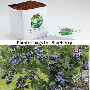 Bolsas de Cultivo Abiertas para Cultivo Hidropónico de Flores, Frutas y Vegetales en Agricultura Comercial, 100% Biodegradables y Orgánicas - Product Image 4