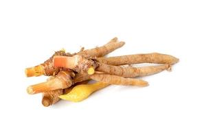 รากนิ้วคุณภาพสูงจากเวียดนามส่งออก - Product Image 5
