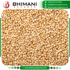 เมล็ดงาขาวธรรมชาติ 100% ปลอดสาร GMO ผลิตในอินเดีย ได้รับการรับรองจาก APEDA - Product Image 4