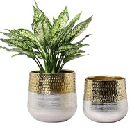 Pots et vases à fleurs modernes en fer chromé doré pour plantes d'intérieur, support de sol durable
