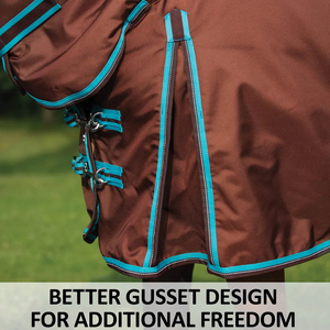 Mantas de caballo con logotipo bordado personalizado de nuevo diseño, cubierta de cuello completo, hoja de mosca estable, tela de poliéster de nailon duradera certificada SGS - Product Image 5