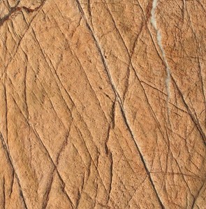 Modern Design Rainforest Gold Marble Countertops Luxury Natural Stone Slabs Tiles Polished Big Slab India Vinayak Exports - Product Image 2