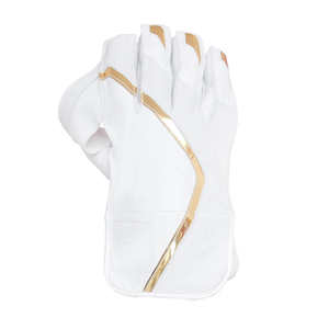 Gants de maintien de guichet de cricket en cuir personnalisés OEM avec protection des doigts Gants de guichet de cricket Gants de maintien de haute qualité - Product Image 6