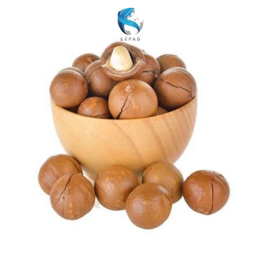 TOP GRADE MACADAMIA NUTS FROM VIETNAM WHOLESALE BULK SUPPLY CRISPY DELICIOUS BEST PRICE