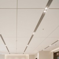 Panneau de plafond en nid d'abeille de style nouveau, panneaux décoratifs polyvalents, divers matériaux disponibles pour toute la maison, cuisine, chambre, hôtel