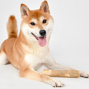 Duradero y duradero café madera perro masticar VIET FARGIMEX - Product Image 5