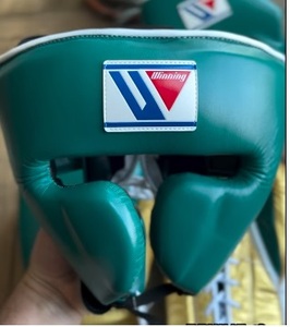 Set de Sparring de Boxeo Profesional, Guantes de Entrenamiento de Cuero con Logotipo Personalizado, Tallas Personalizadas, Cómodos, Verde Dorado, Sparring Personalizado - Product Image 3