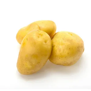 Nueva Cosecha de patata fresca de Canadá 100% patatas orgánicas patatas frescas de piel amarilla con el precio más bajo