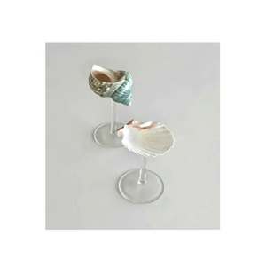 ถ้วยหอยทากเปลือกหอยถ้วยหอยทากที่ใช้ในพิพิธภัณฑ์สัตว์น้ำภูมิทัศน์ภูมิทัศน์ที่สมบูรณ์แบบสำหรับศิลปะที่ได้แรงบันดาลใจจากทะเล - Product Image 4