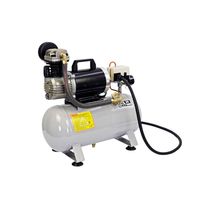 Compresseur d'air professionnel sans huile 24V DC, étanche aux intempéries, pour petit camion robuste avec réservoir de 12 litres