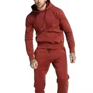 Conjuntos de chándal de ropa informal ecológica para hombres de peso pesado, Sudadera con capucha, pantalones lavados con ácido, ajustados, chándal más grueso OEM - Product Image 2