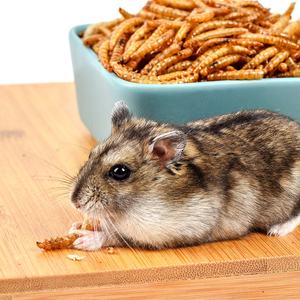 Proteine di Insetti Vermi della Farina Gialli, Vermi della Farina Essiccati - Product Image 3