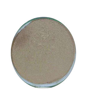 ผงสมุนไพร Bacopa monnieri บริสุทธิ์ได้รับความไว้วางใจจากผู้ใหญ่ ODM - Product Image 1