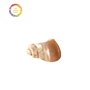 Elegantes servilleteros de concha marina para bodas y eventos con artesanía duradera y precio económico - Product Image 4