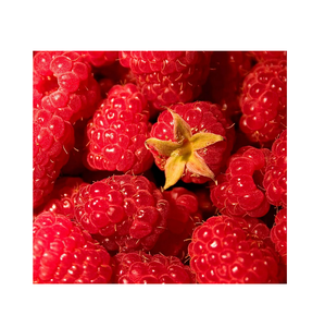 Fresh <b>Fruit</b> <b>Frozen</b> IQF Raspberries Buy Online Wholesale Deal Manufacturer Bulk Stock Supplier - Product Image 2