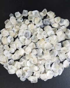 Écailles de poisson séchées du Vietnam en gros, propres et à forte teneur en gélatine - Product Image 3