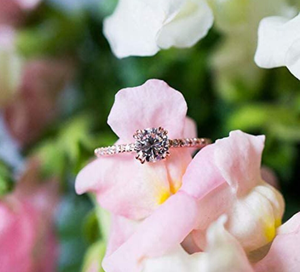 10K. - Product Image 4