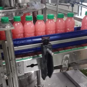 Mélange de jus de fraise Lychee Bouteille en verre de 330ml Mélange de baies exotiques Fabrication OEM Jus Jamun Amla Karela Bouteille en PET de 500ml - Product Image 1