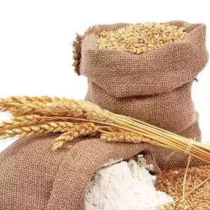 Harina de Trigo de Alta Calidad y Alto Contenido Proteico, Bolsa de 50 kg/Harina de Trigo para Panadería y Pan - Product Image 1