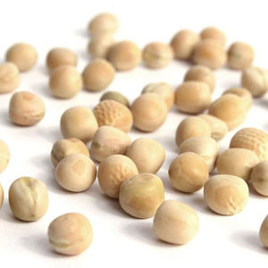 Guisantes Amarillos Superior, Pisum Sativum, Grado Alimenticio y para Piensos, Limpios, Clasificados, Alto Contenido Proteico, Empacados a Granel con un Año de Vida Útil - Product Image 5