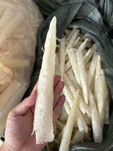 Tripa de Pescado Seca a Granel, Venta Directa del Fabricante en Vietnam, MOQ Bajo Disponible |   Tripa de Lubina/Basa - Product Image 6