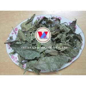 PURE CELASTRUS HINDSII/ALTA CALIDAD/ETIQUETA LIMPIA/BASADA EN PLANTAS - Product Image 4