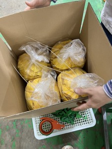 มะม่วงอบแห้งแบบ2025 - Product Image 4