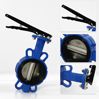 Vanne papillon à disque en fonte ductile, à levier, joint souple, D71X-16Q PN16, disque électrolytique, pour eau, taille de port 2-12 pouces