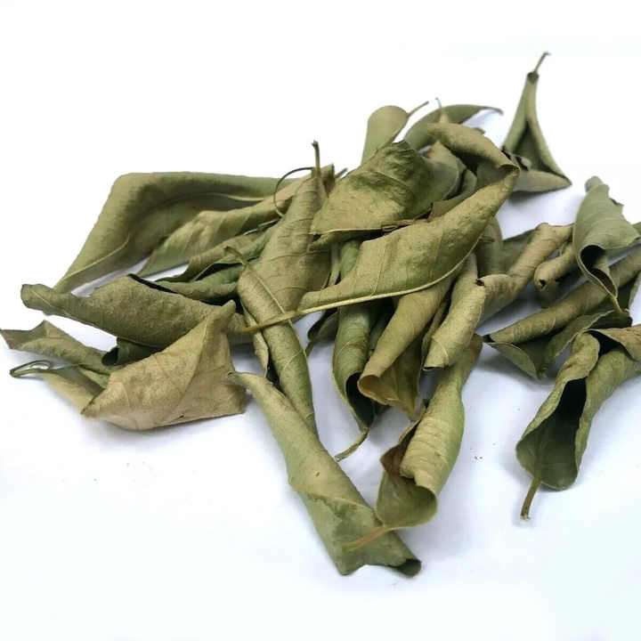 Cheapest price sun dried lime leaves top quality dry lemon leaf supply in large quantity origin in Vietnam