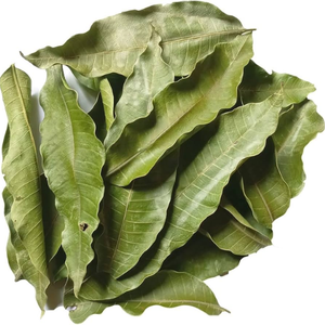 ใบมะม่วงอบแห้งแบบกำหนดเอง: คุณภาพสูงราคาดีที่สุด - Product Image 3