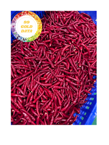 Mitades rojas de chiles congelados para el suministro de comidas congeladas y la industria de procesamiento de especias Exportación de chiles Premium de Vietnam - Product Image 6