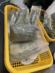 Premium Dried Soursop Leaves for Herbal Tea - Product Image 3