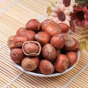 Noisettes blanchies séchées de qualité biologique crues pour usage alimentaire - Product Image 4