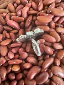 Anillo de plata de ley Rosa Concha y turquesa Kingman para mujer - Product Image 2