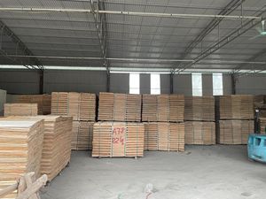 แผ่นไม้อัดอะคาเซียแกนวีเนียร์ขนาด2มม. สำหรับงานร่วมสมัยสำหรับไม้อัดไร้หน้าจากประเทศเวียดนาม - Product Image 2