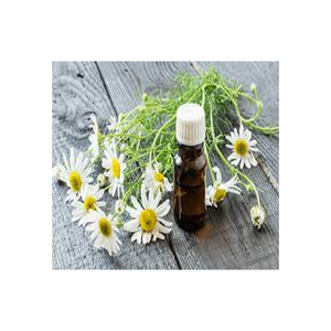 Aceite esencial de manzanilla azul orgánico puro y natural de alta calidad 100% a precio mayorista - Product Image 4