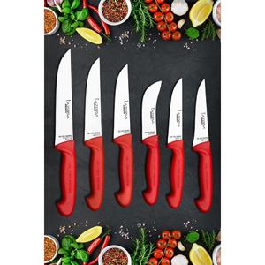 Coltello da cucina professionale in argento 10 pezzi pane carne frutta frutta frutta cipolla frolla