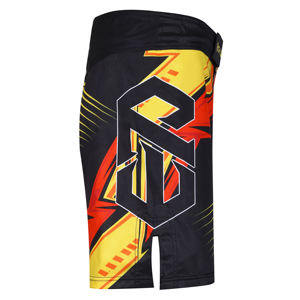 Vente en gros OEM sublimé No Gi Shorts pour enfants MMA Boxe Gym Training BJJ Grappling Combat Fighting Wear - Product Image 4