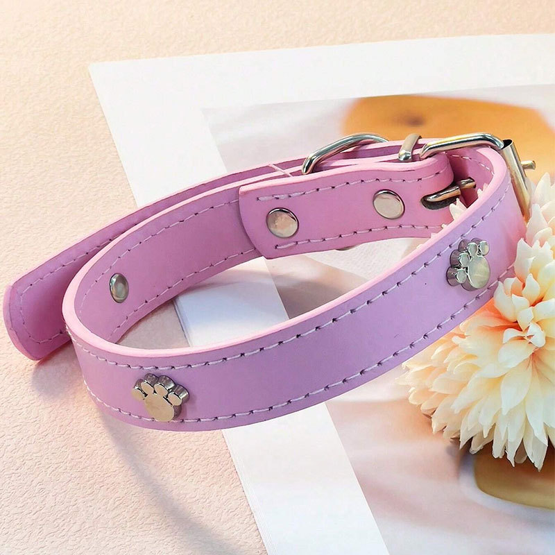 อุ้งเท้าพิมพ์สีชมพู