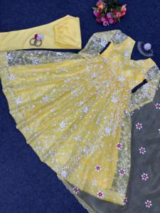 Hermoso vestido de fiesta de seda de organza-Pent con Dupatta - Product Image 5