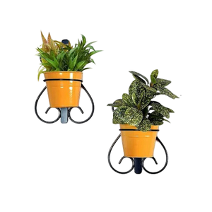 Maceta montada en la pared, Soporte redondo para plantas de flores, Metal para interior y exterior, en maceta con acabado de capa de polvo negro y amarillo - Product Image 1