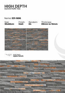 Carreaux de mur extérieur en porcelaine 300x600mm Finition extérieure - Product Image 5
