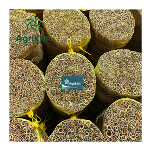 2024 nouvelle culture de haute qualité certifiée ISO Vietnam épices Cassia bâton herbe gros séché cannelle Tube rouleaux épices simples herbes - Product Image 5