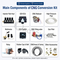 ACT Petrol Engine Vehicle 4 Cylinder Cng Autogas Conversion Auto Natural Cng Gas Direct Injection System