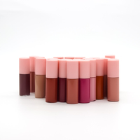 Kit de rouge à lèvres mignon sans marque de couleur différente personnalisé miroitant lèvres repulpant marque privée coloré cosmétique paillettes bonbons brillant à lèvres