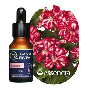 Huile essentielle de géranium de qualité thérapeutique 100% pure biologique Essencia 15ml - Product Image 1