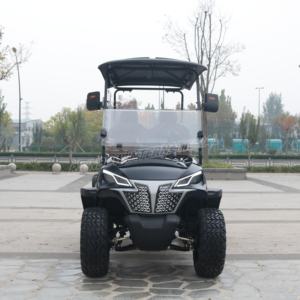 Voiturette <span class=keywords><strong>de</strong></span> golf électrique monoplace en métal avec personnalisation arc-en-ciel, moteur AC 4KW, 2 places, batterie lithium 48V pour terrains <span class=keywords><strong>de</strong></span> golf et clubs - Product Image 2